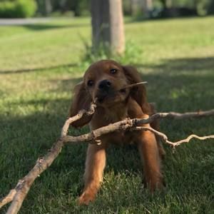 Meet your Posher, Taylor